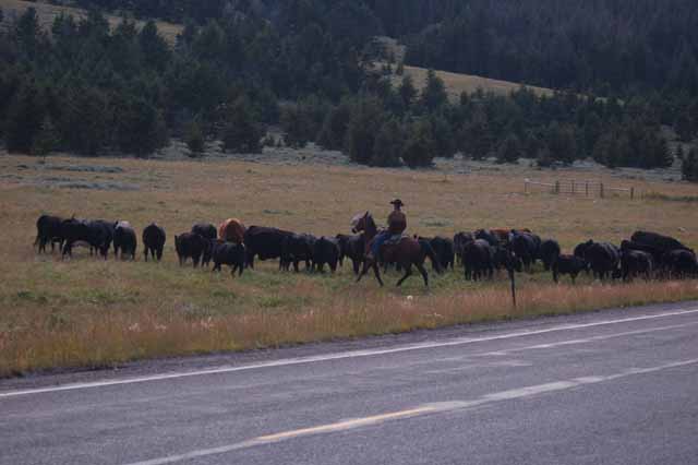 scenic highway 296